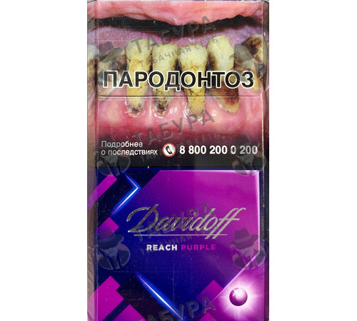 Сигареты Davidoff Reach Purple Сигареты Davidoff Reach Purple