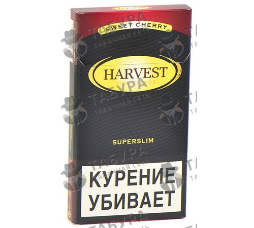 Сигареты Harvest Red Cherry SuperSlims Сигареты Harvest Red Cherry SuperSlims