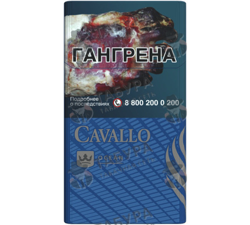 Сигареты Cavallo Blue Ocean Сигареты Cavallo Blue Ocean