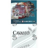 Cavallo Silver Wings
